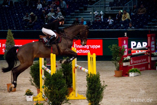 Partner Pferd Leipzig