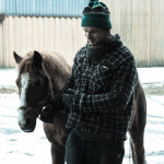 Reiterhof Pferde Leipzig