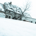 Reiterhof Pferde Leipzig