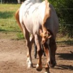 Profile picture of Birgit