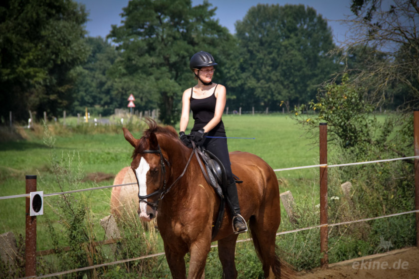 reiten_4888