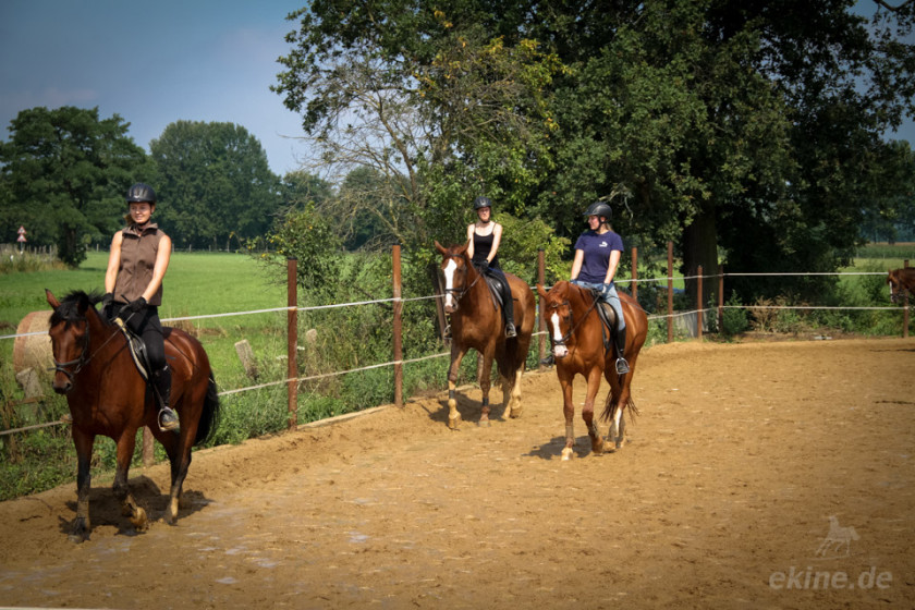 reiten_4895