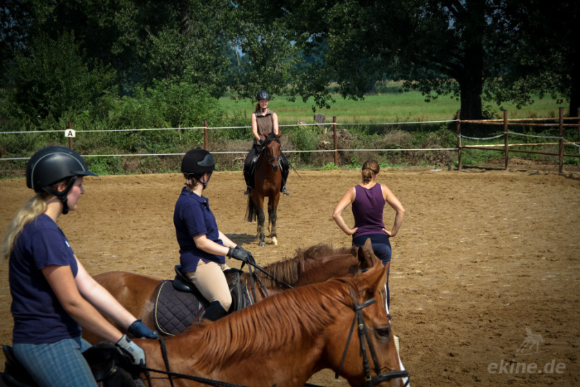 reiten_4904