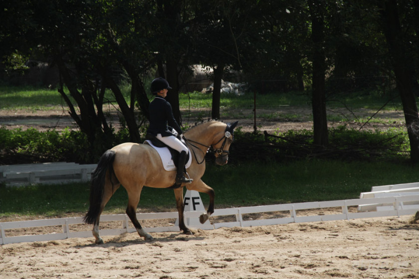 moertitz_dressurreiten_002