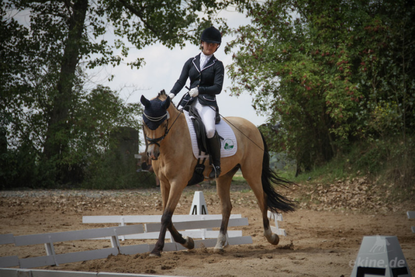 moertitz_dressurreiten_003