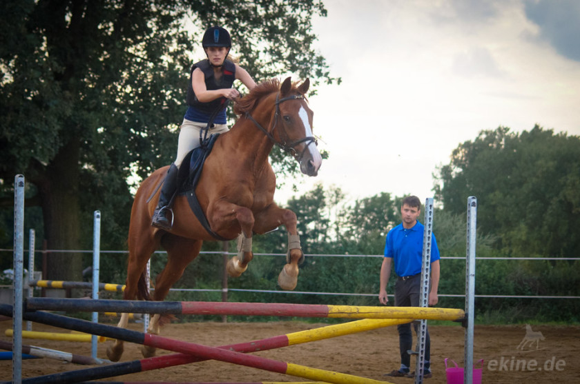 springreiten112