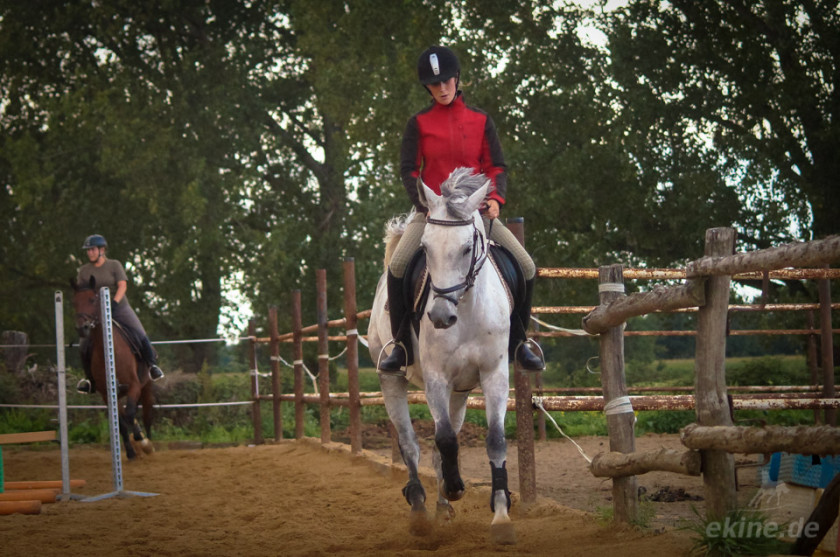 springreiten258