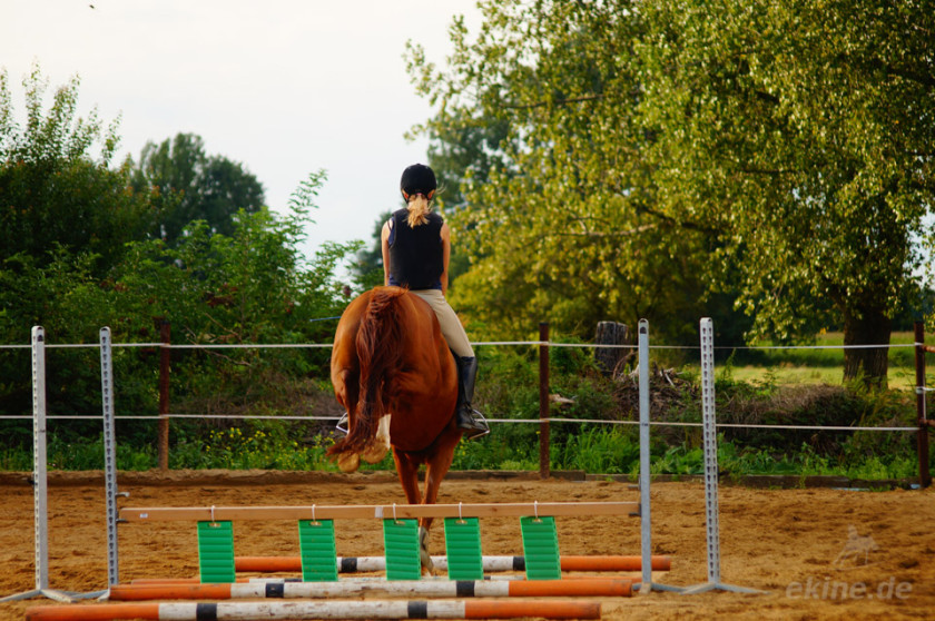 springreiten58