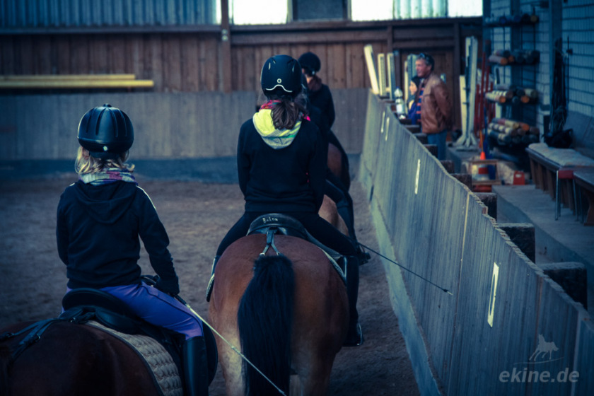 img_reitferien_sachsen_002