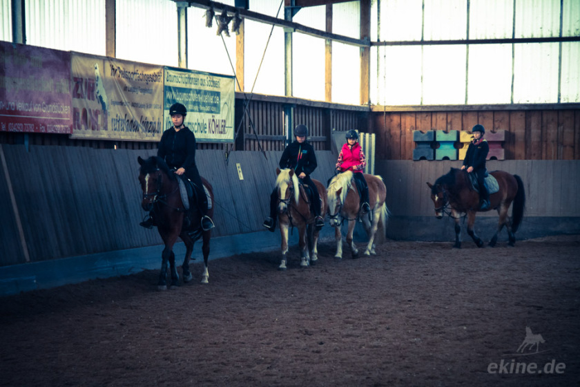 img_reitferien_sachsen_003