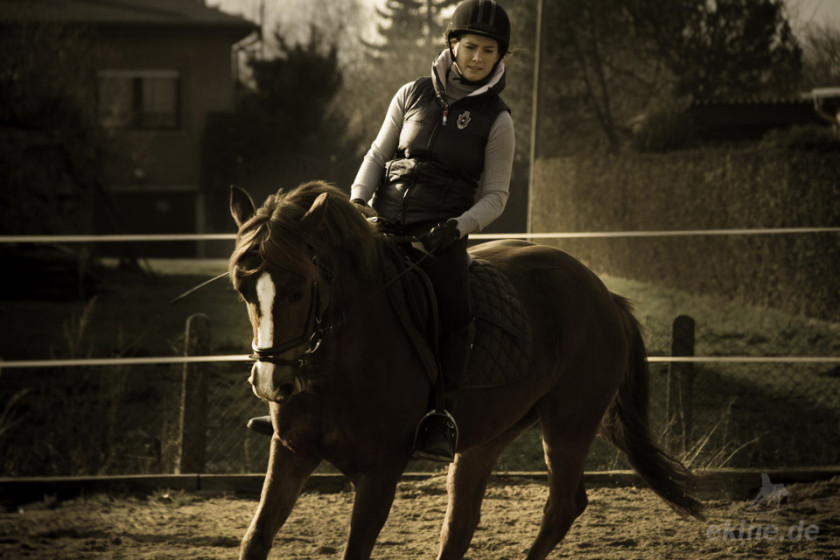 pferd_reiten_01