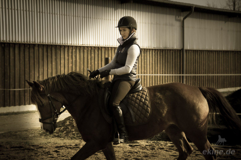 pferd_reiten_02
