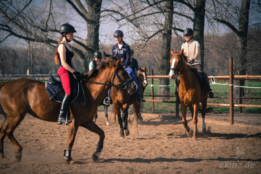 reiten_7562