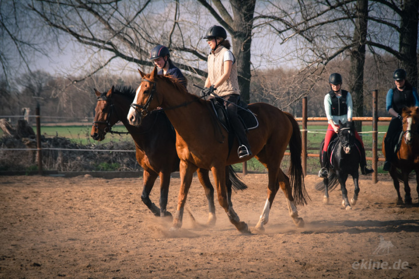 reiten_7564